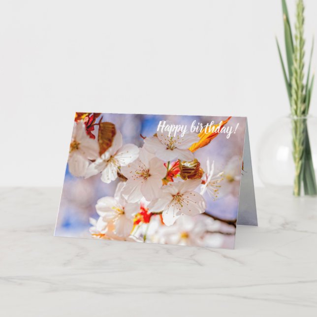 Gorgeous And Elegant Sakura Flowers In Springtime Card (Front)