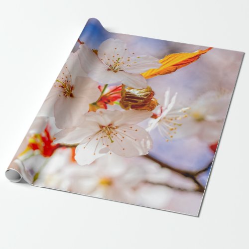 Gorgeous And Elegant Sakura Flowers Wrapping Paper