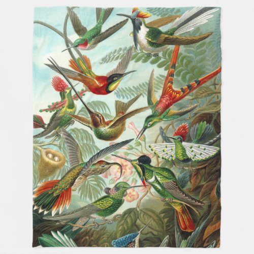 Gorgeous Art Hummingbirds by Ernst Haeckel Fleece Blanket