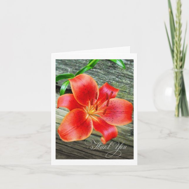Gorgeous Asian Lily flower Thank You Card (Front)