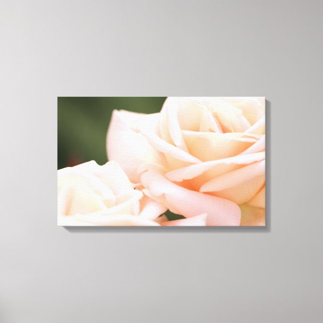 Gorgeous Beige Roses Stretched Canvas Print (Front)