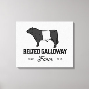 Gorgeous Belted Galloway Steer Cutout Beltie Gift Canvas Print