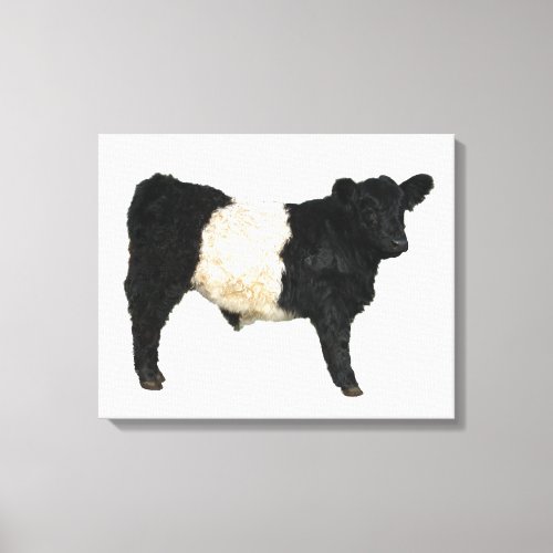 Gorgeous Belted Galloway Steer Cutout Beltie Gift Canvas Print