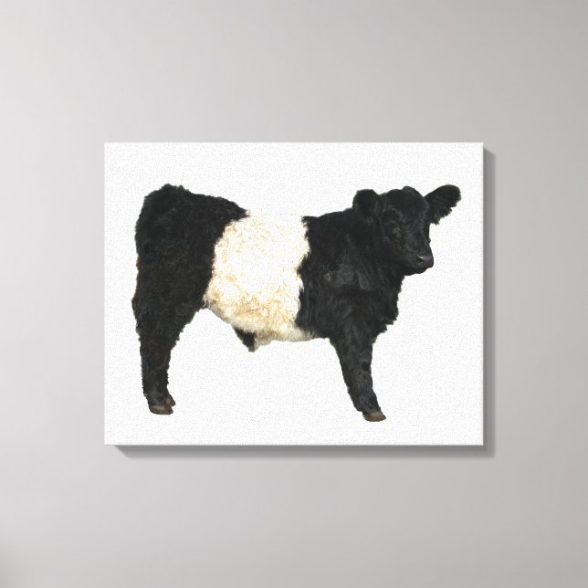 Gorgeous Belted Galloway Steer Cutout Beltie Gift Canvas Print (Front)