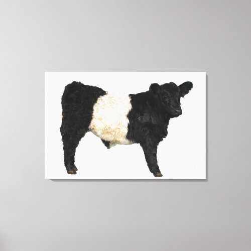 Gorgeous Belted Galloway Steer Cutout Beltie Gift Canvas Print