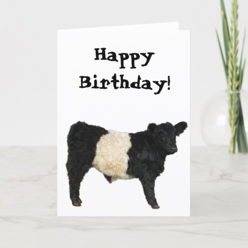 Gorgeous Belted Galloway Steer Cutout Card