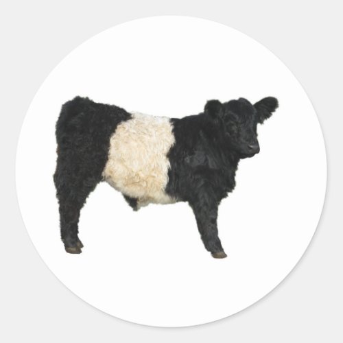 Gorgeous Belted Galloway Steer Cutout Classic Round Sticker