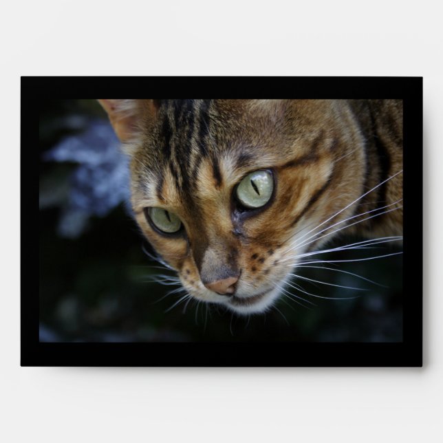 Gorgeous Bengal Cat Envelope (Front)