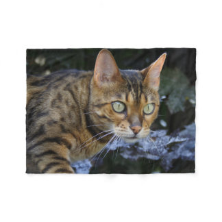 Gorgeous Bengal Cat Fleece Blanket