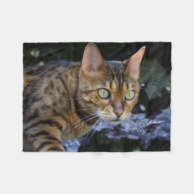 Gorgeous Bengal Cat Fleece Blanket (Front (Horizontal))