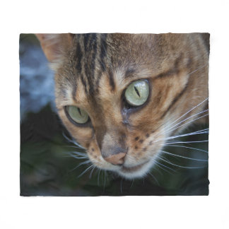Gorgeous Bengal Cat Fleece Blanket