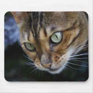 Gorgeous Bengal Cat Mouse Pad