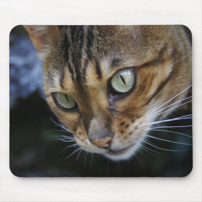Gorgeous Bengal Cat Mouse Pad (Front)