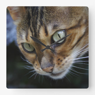 Gorgeous Bengal Cat Square Wall Clock