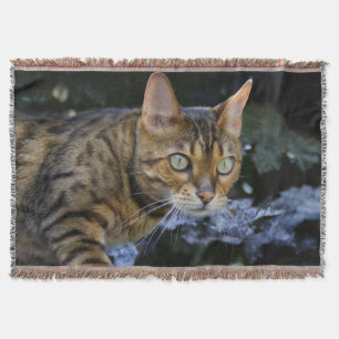 Gorgeous Bengal Cat Throw Blanket