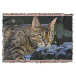 Gorgeous Bengal Cat Throw Blanket