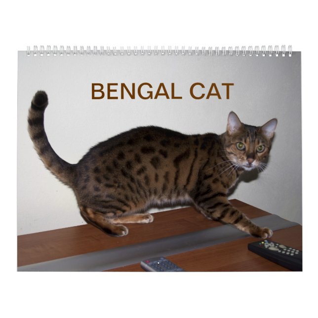 Gorgeous Bengal Cats  Calendar (Cover)