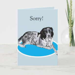 Gorgeous Black and White Springer Sorry Card