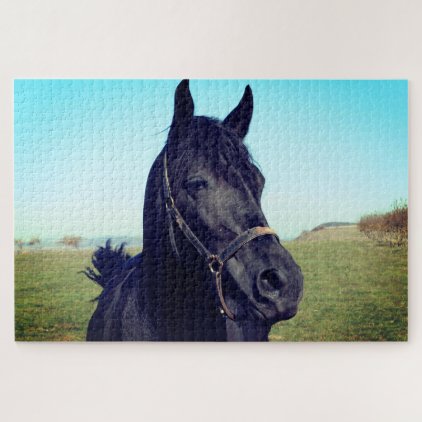 Gorgeous Black Horse Jigsaw Puzzle