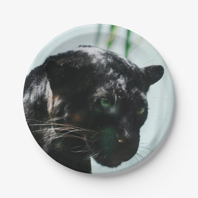 Gorgeous Black Panther Paper Plates (Front)
