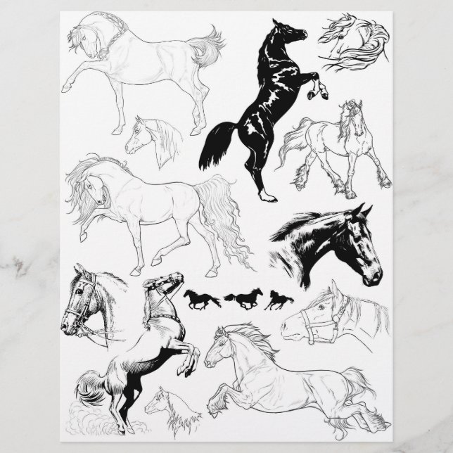 Gorgeous Black & White Line Art Drawings of Horses (Front)