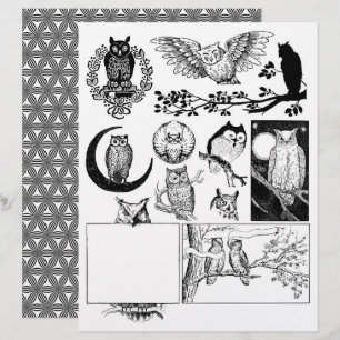 Gorgeous Black & White Line Art Drawings of Owls