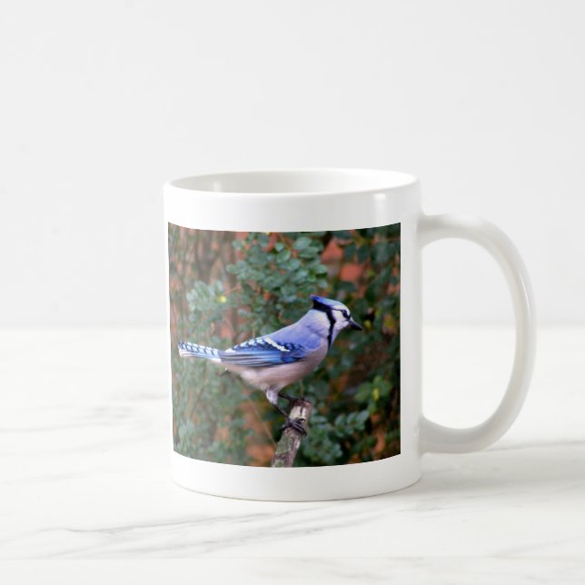 Gorgeous Blue Jay Coffee Mug (Right)