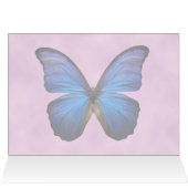 Gorgeous Blue Morpho Butterfly (Inside Horizontal (Top))