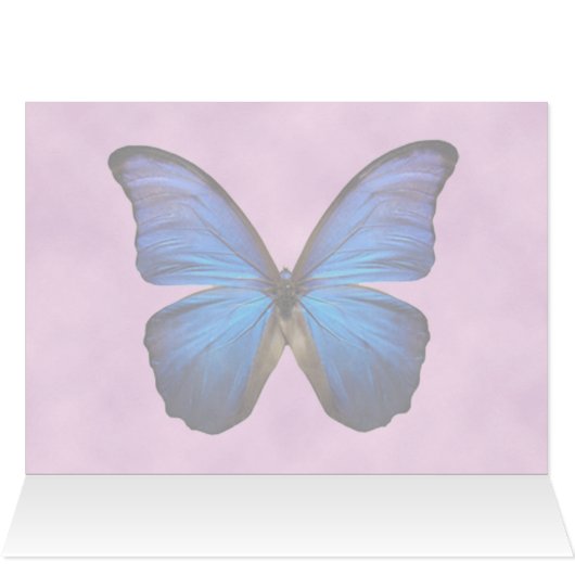 Gorgeous Blue Morpho Butterfly (Inside Horizontal (Top))