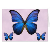 Gorgeous Blue Morpho Butterfly (Front Horizontal)