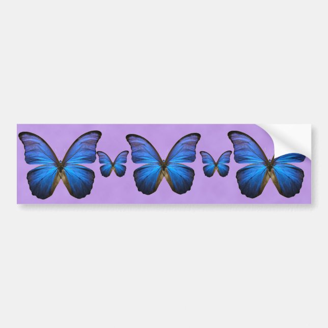 Gorgeous Blue Morpho Butterfly Bumper Sticker (Front)