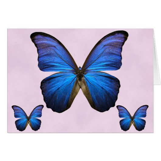 Gorgeous Blue Morpho Butterfly Cards (Front Horizontal)