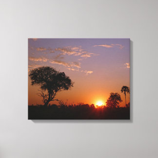GORGEOUS BOTSWANA SUNSET CANVAS PRINT