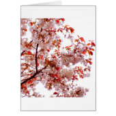 GORGEOUS BOUQUET OF BLOOMS (Front)