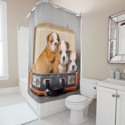 Gorgeous Bulldog Puppies  Dog Lover Shower Curtain