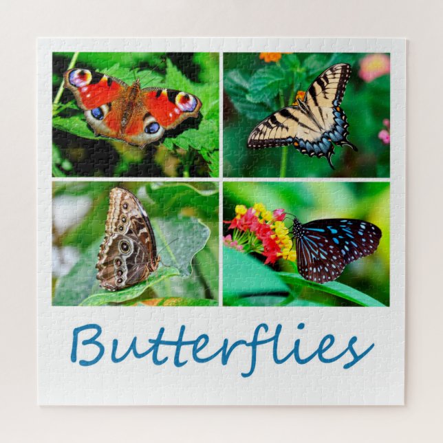 Gorgeous Butterflies Collage, 4 Photos, Age 10 Jigsaw Puzzle (Horizontal)