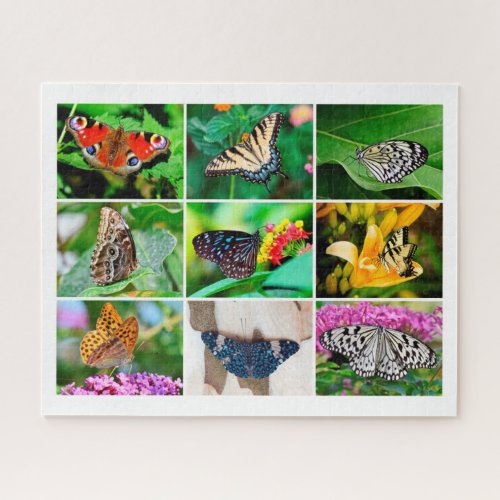 Gorgeous Butterflies Collage 9 Photos Age 10 Jigsaw Puzzle