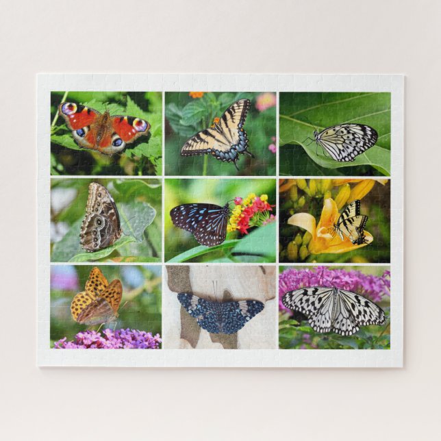 Gorgeous Butterflies Collage, 9 Photos, Age 10 Jigsaw Puzzle (Horizontal)