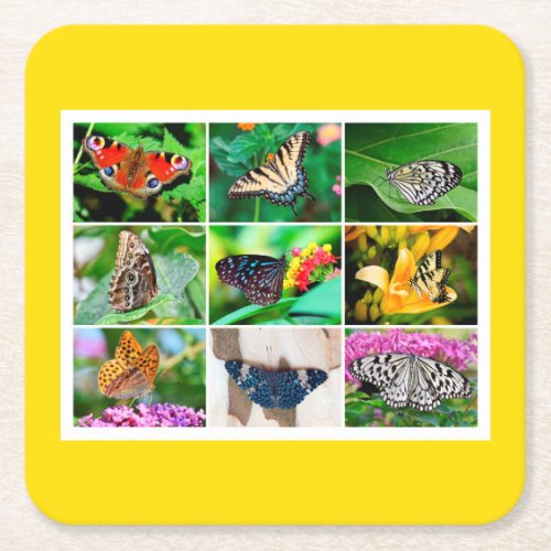 Gorgeous Butterflies Collage 9 Photos Square Paper Coaster