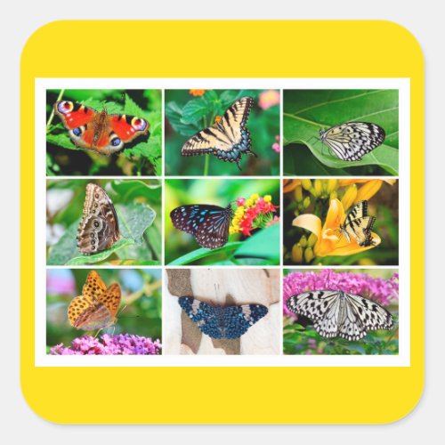 Gorgeous Butterflies Collage 9 Photos Square Sticker