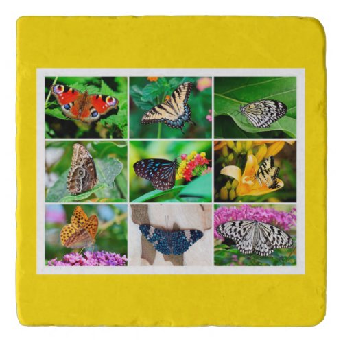 Gorgeous Butterflies Collage 9 Photos Trivet