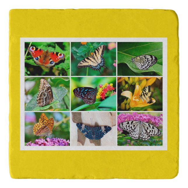Gorgeous Butterflies Collage, 9 Photos Trivet (Front)