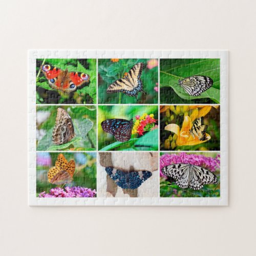 Gorgeous Butterflies Collage Age 8 252 Pieces Jigsaw Puzzle