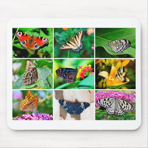 Gorgeous Butterfly Collage 9 Photos Mouse Pad