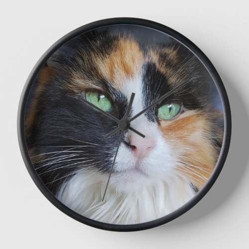 Gorgeous Calico Long Hair Cat with Green Eyes Clock