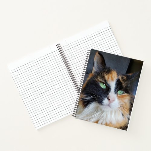 Gorgeous Calico Long Hair Cat with Green Eyes Notebook