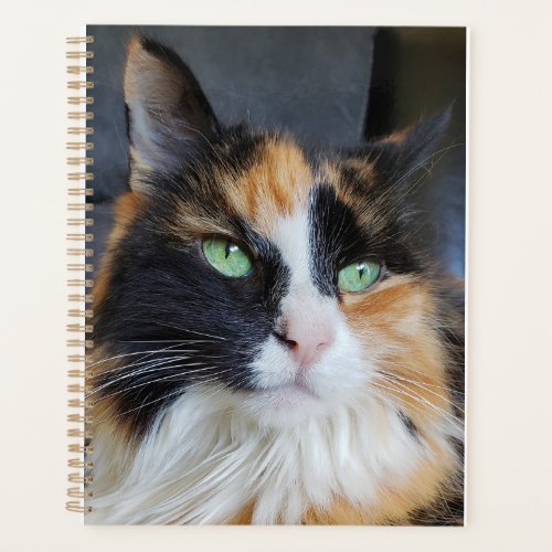 Gorgeous Calico Long Hair Cat with Green Eyes Planner