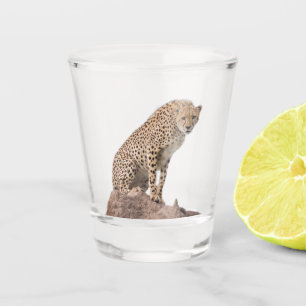 Gorgeous Cheetah Beautiful Cat Photo Shot Glass