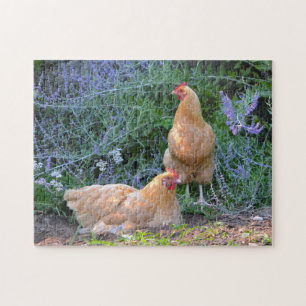Gorgeous Chicken Puzzle