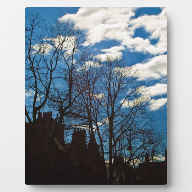 GORGEOUS CITY SKY PLAQUE (Front)